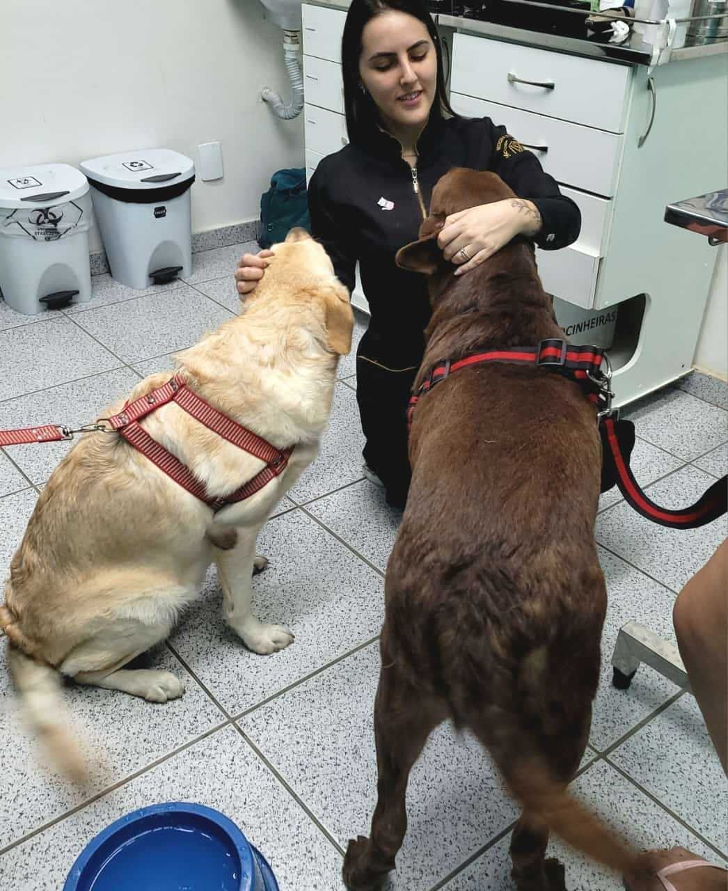 Bendito Bicho Cordovil
