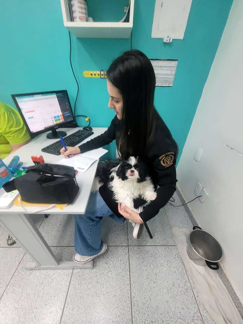 Galeria